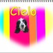 Cielo2010